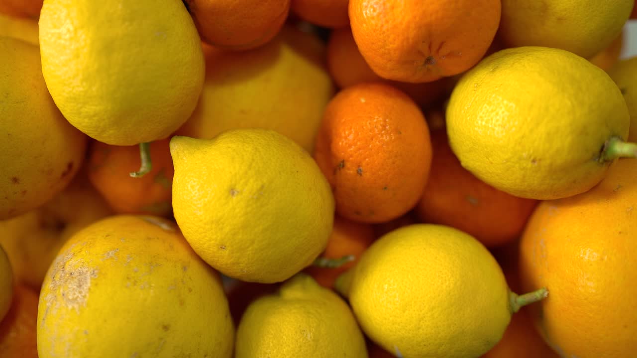Freshly Picked Grapefruits, Lemons and Oranges