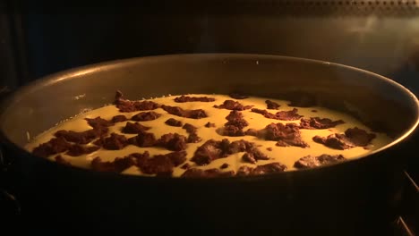 Macro-shot-of-traditional-russian-cheesecake-with-chocolate-chips-on-top