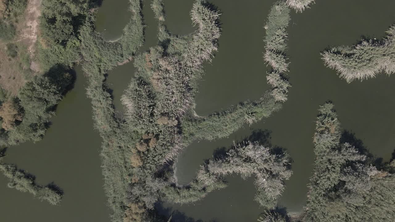 vistas cenitales de humedales y aves