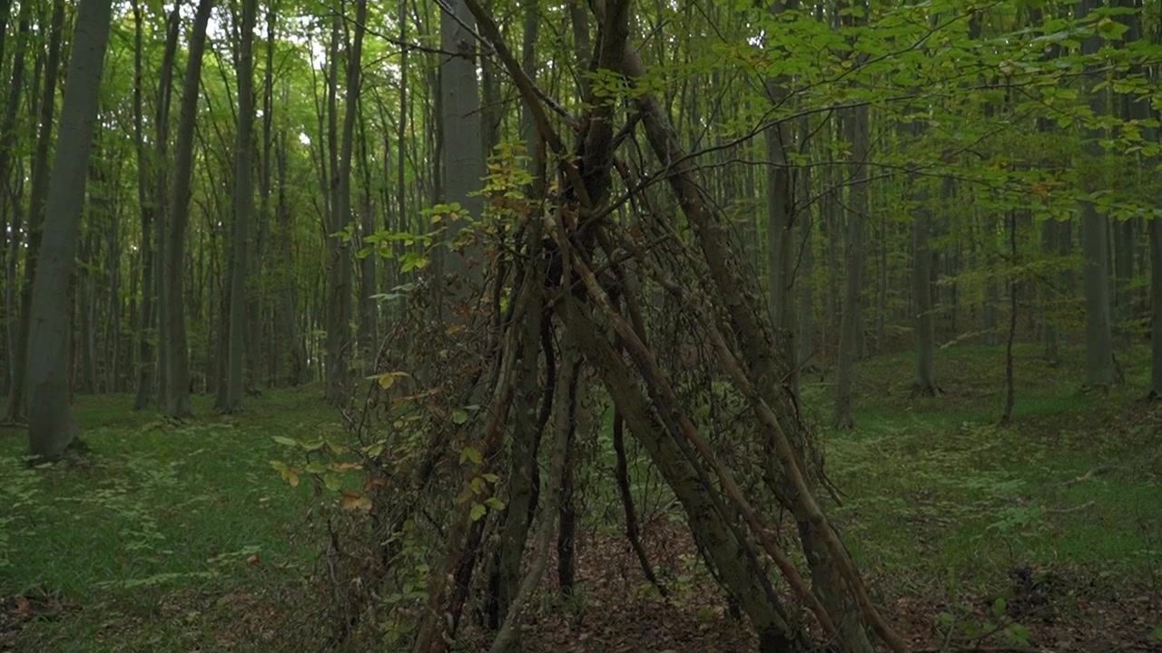 Rifugio in legno per bushcraft costruito con rami caduti in una fitta foresta verde. Struttura a teepee primitiva per la sopravvivenza all'aperto e il campeggio selvaggio