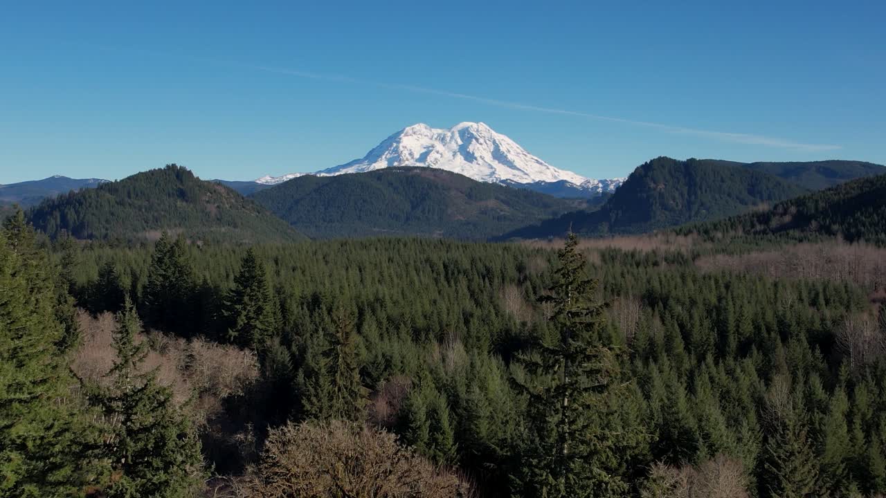 Washington Forest with Mt. Rainer in the distance- aerial ascending
