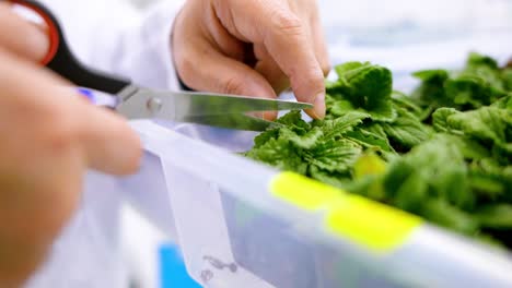 а scientist takes samples from the leaves of a plant