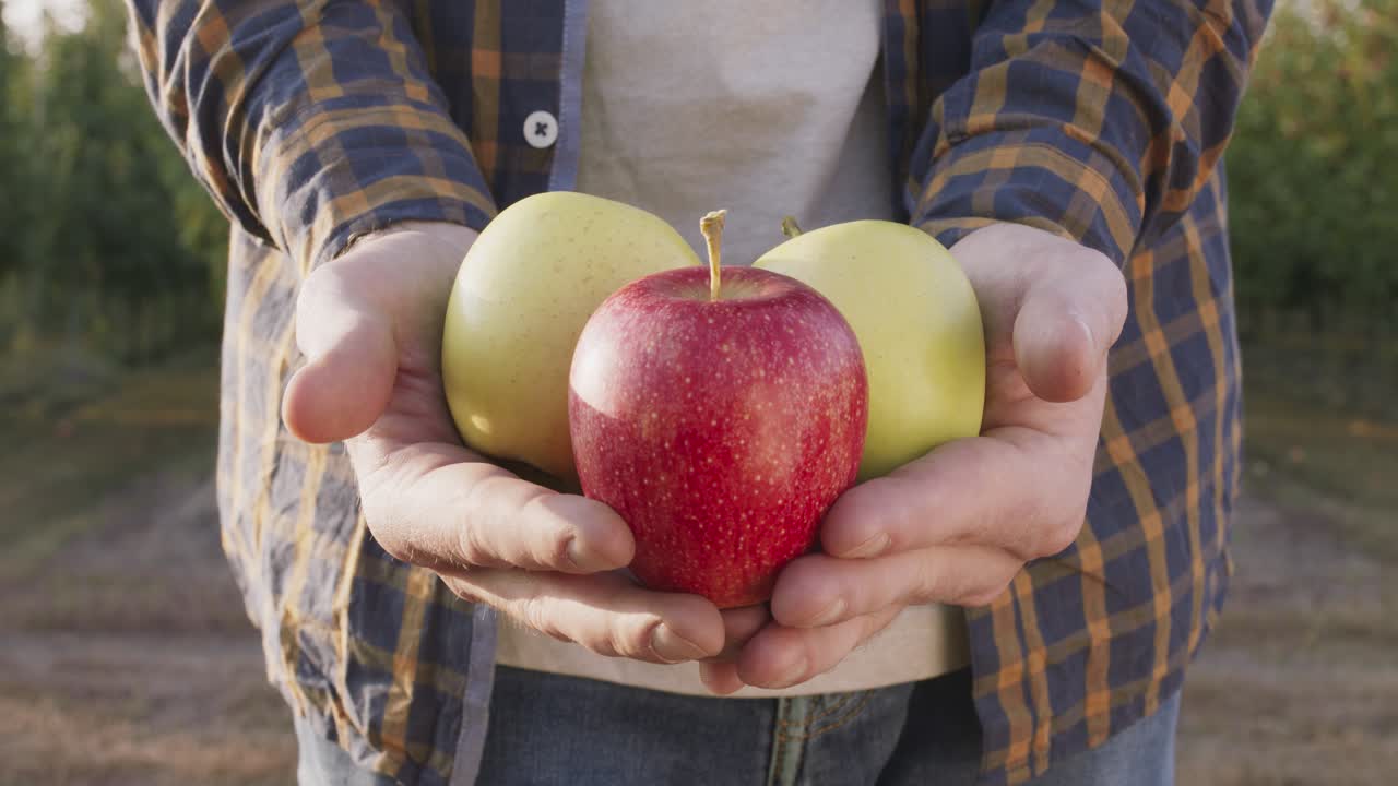 agricultor con manzanas
