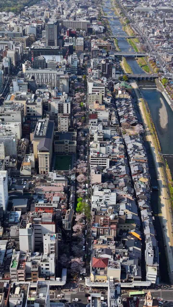Aerial drone view of Kyoto, Japan in daylight