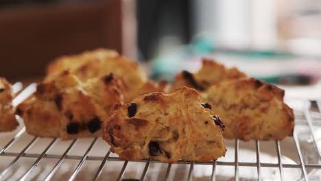 Freshly-baked-scones-left-to-cool-on-a-metal-rack