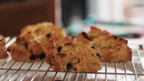 freshly baked scones left to cool on a metal rack