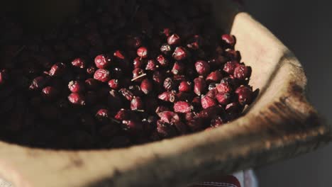 toma panorámica de primer plano y momento detenido al final de las imágenes de los frutos de rosa mosqueta almacenados en un comedero