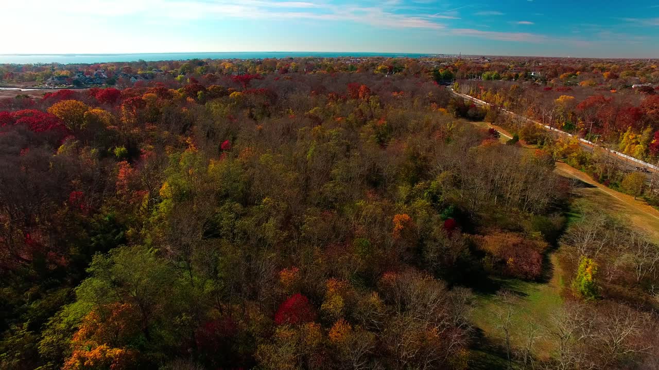 otoño en long island f