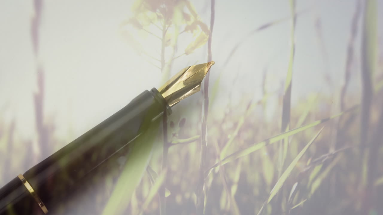 Animation of grass over pen