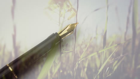 animation of grass over pen