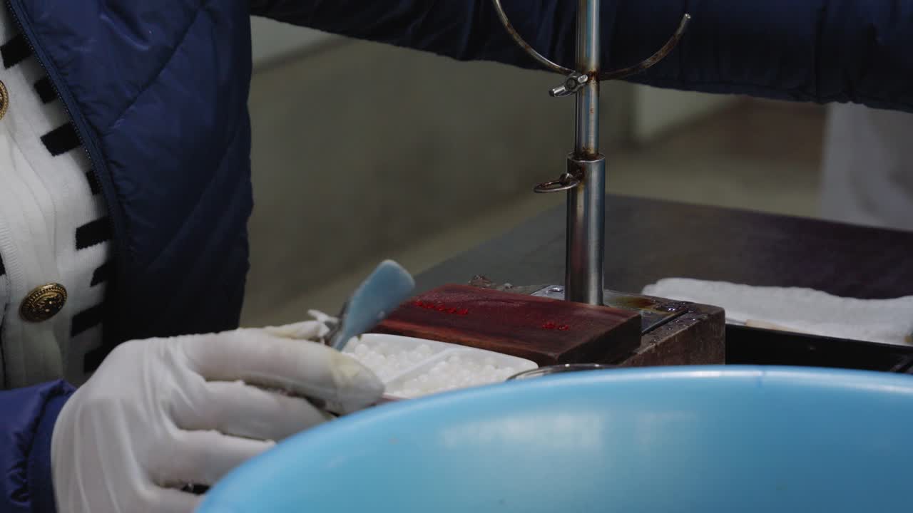 베트남 하롱에 있는 레전드  ⁇  보석 가게에서 오이스터  ⁇ 데기를 놓고 있는 보석가의 손