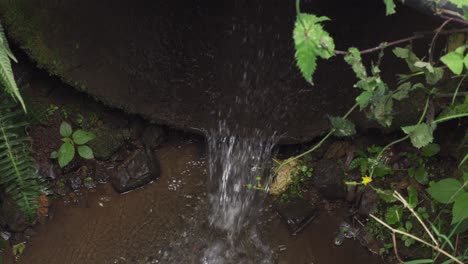 water coming out of drainage system