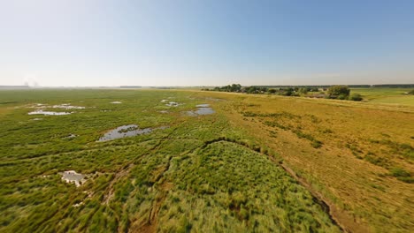 high-speed fpv drone shot of rivers and streams at the edge of a large green wetland area in a natural park, underneath a clear blue sky