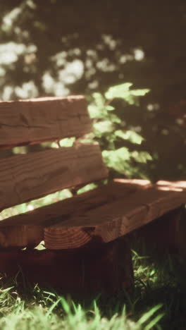 banco de madera rústico en un bosque iluminado por el sol