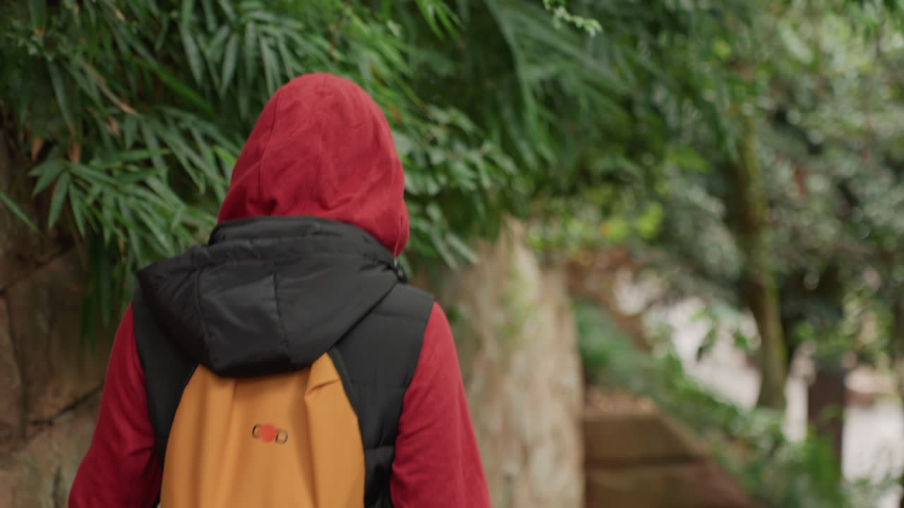 Back view of backpacker among foliage descending stone steps, wearing red hoodie and black puffer vest, carrying yellow backpack mossy wall and leafy canopy create calm, introspective mood urban