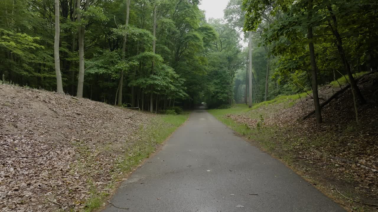 giorno nebbioso che striscia attraverso i boschi