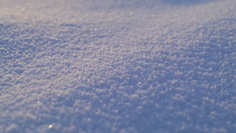 Macro-shot-of-snow-on-a-sunny-winter-evening