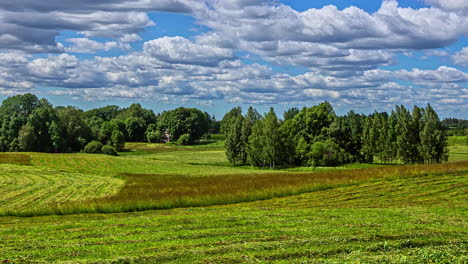 harvester working in the field in timelapse under the blue sky