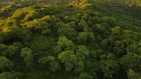vista aérea del vasto paisaje montañoso cerca del océano en un ambiente tropical