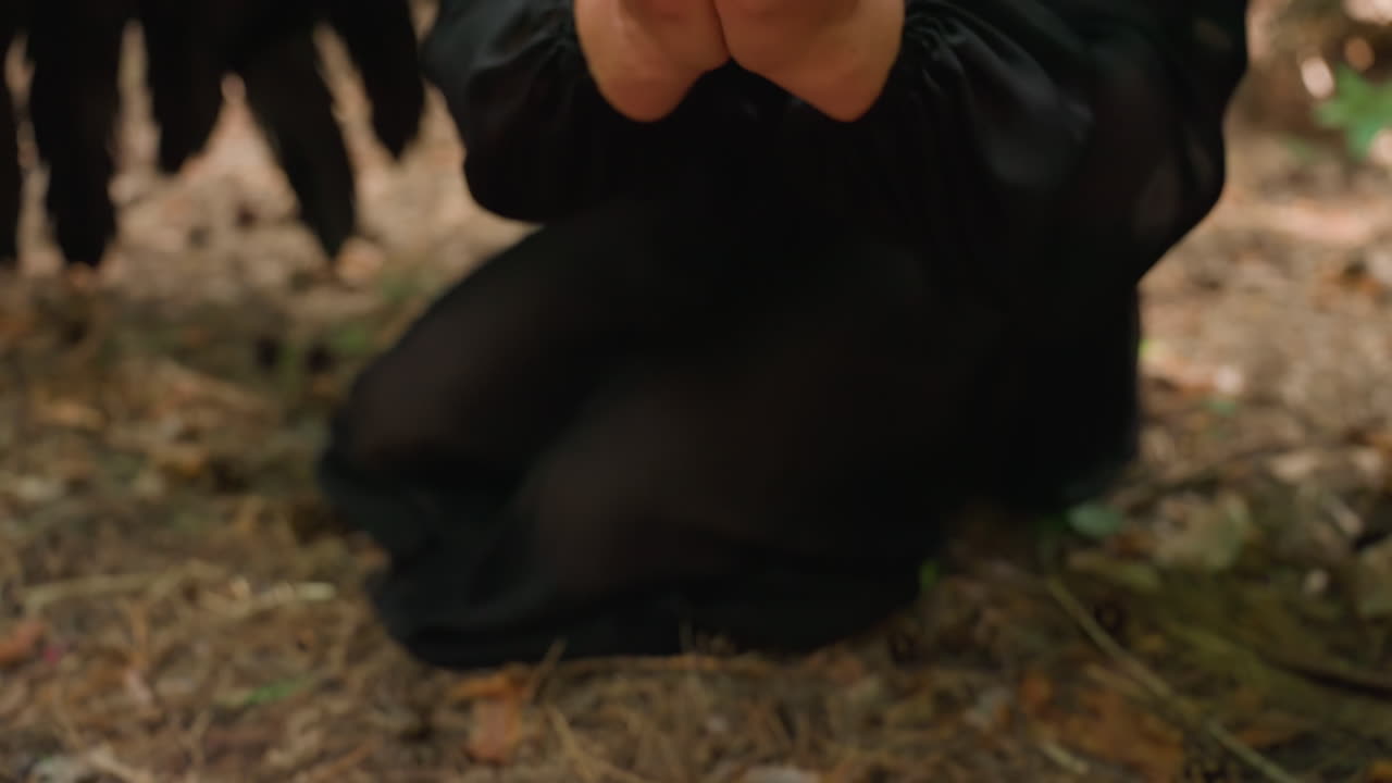 Diviner dressed in black kneels on forest ground, hands hovering over glowing red candle while beginning prayer to forest spirit, mystical atmosphere filled with energy
