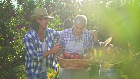 generations enjoying apple picking in a sunny orchard