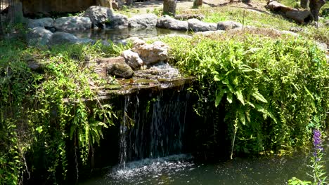 close up on artificial waterfall in garden, modern backyard landscape