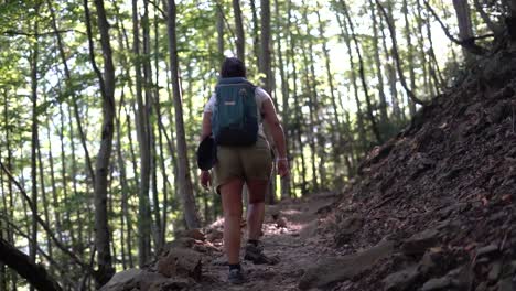 chica excursionista, mujer al aire libre en el bosque de montaña, naturaleza caminando, paseando, vagando por el bosque en invierno