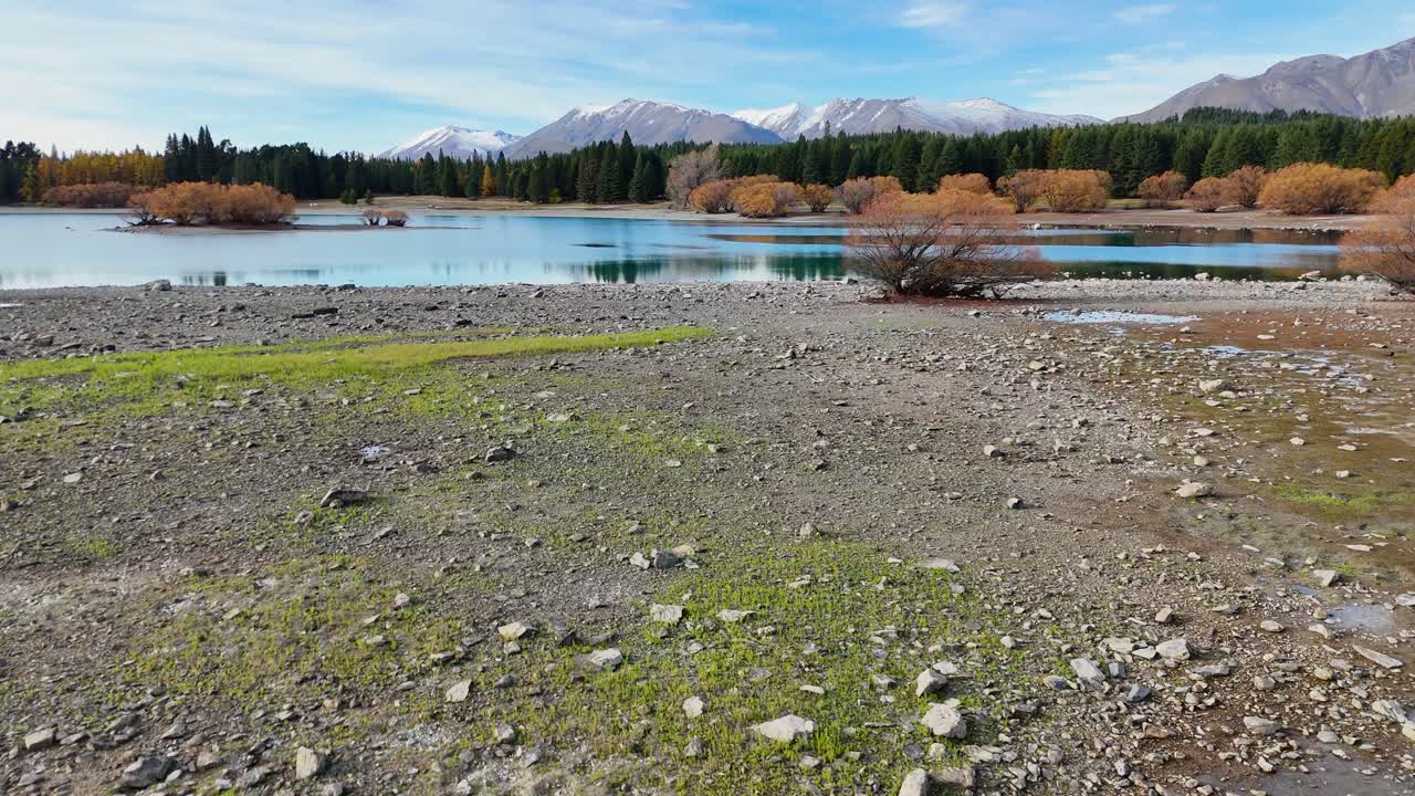 Drone captures serene Lake Tekapo with autumn foliage, reflecting water, and distant mountains under soft lighting