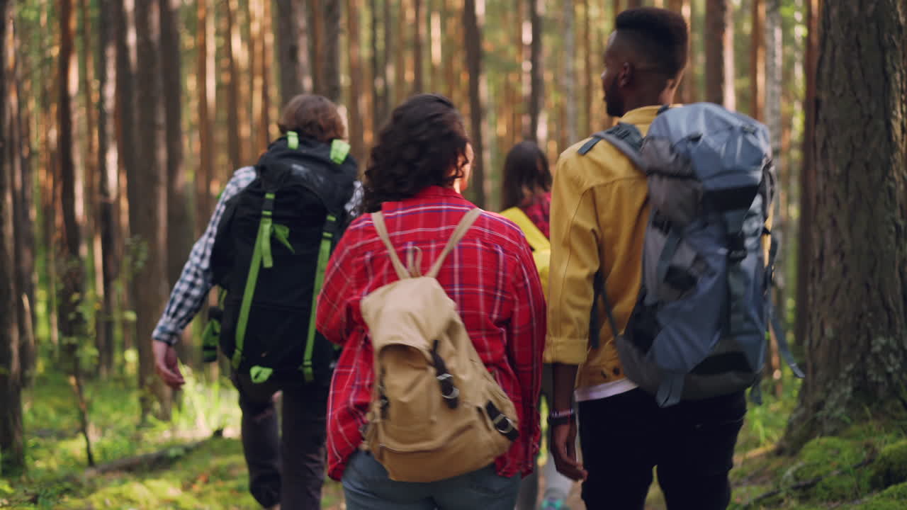Friends Hiking in the Woods