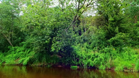 Floating-over-Gauja-river,-verdant-wilderness-tranquility,-boat-cross-through-Latvian-Gauja-National-Park