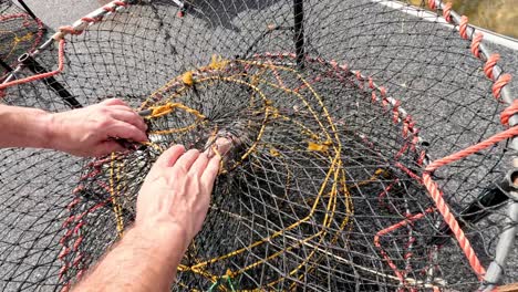 person cutting fish, loading bait into crab trap