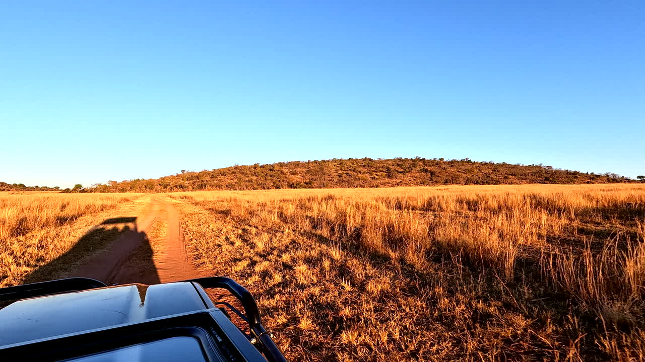 POV of afternoon safari game drive truck and its shadow in reserve dirt road