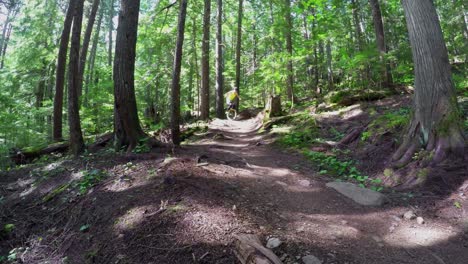 woman riding unicycle in the forest 4k