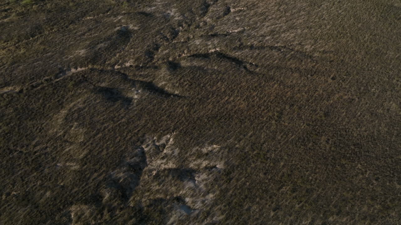 imágenes aéreas que vuelan por el desierto de arizona y muestran todos los matorrales marrones y verdes