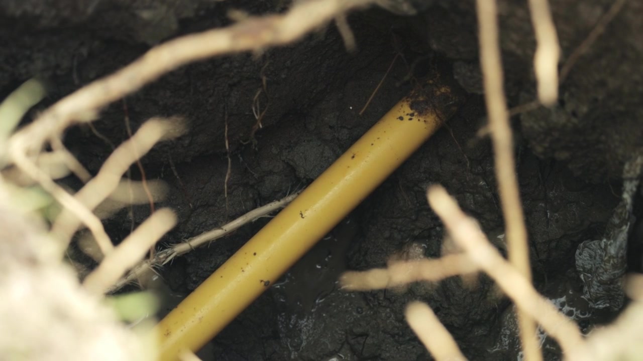 Una fossa di scavo idraulico rivela un tubo del gas sotterraneo giallo parzialmente esposto, circondato da terreno umido e radici, durante uno scavo per l'illuminazione stradale; la scena enfatizza la consapevolezza delle utenze e la sicurezza in cantiere.