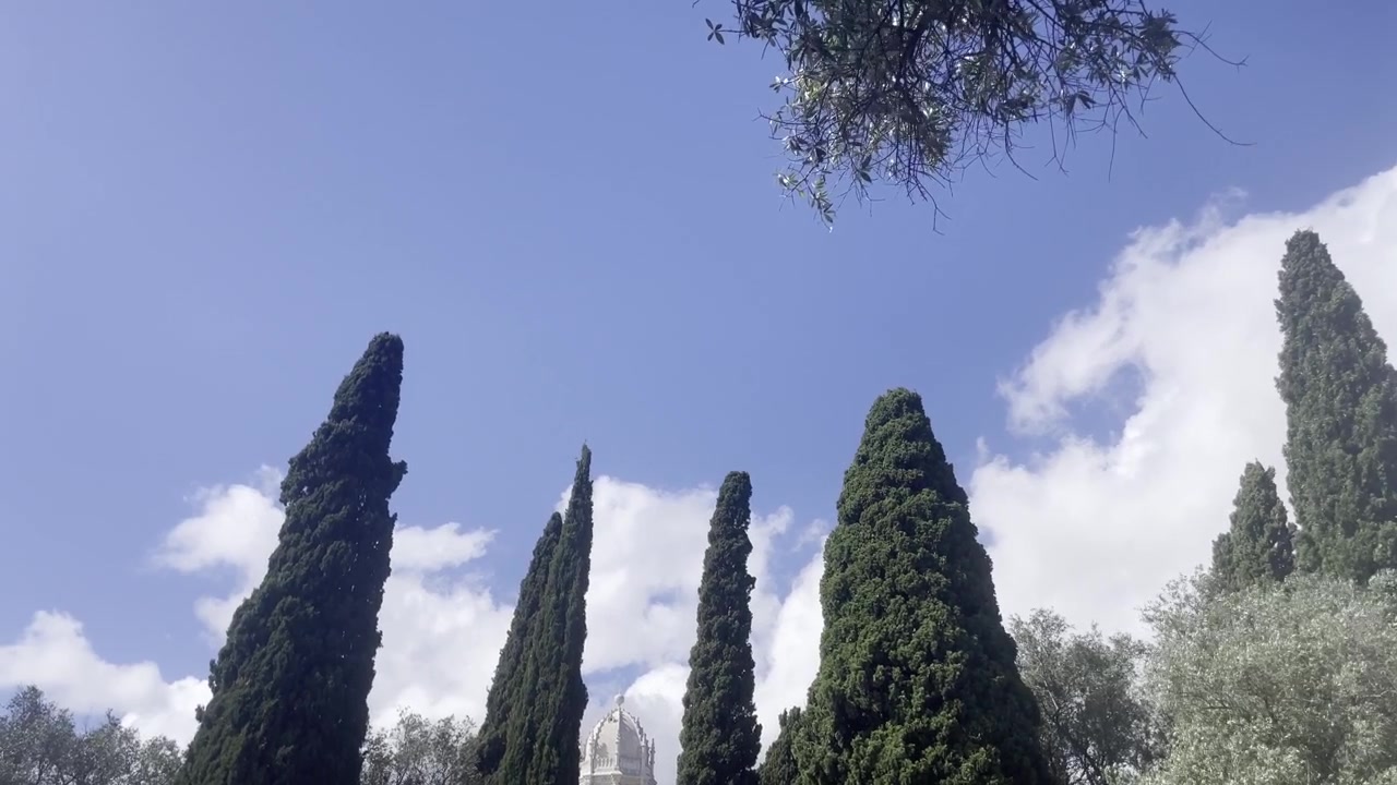 Árboles y paisaje del Jardín de Lisboa en Belém, Portugal, junto al Monasterio de los Jerónimos
