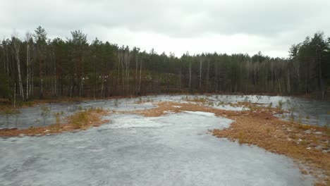 aerial: frozen lake on a gloomy and cloudy day in forest