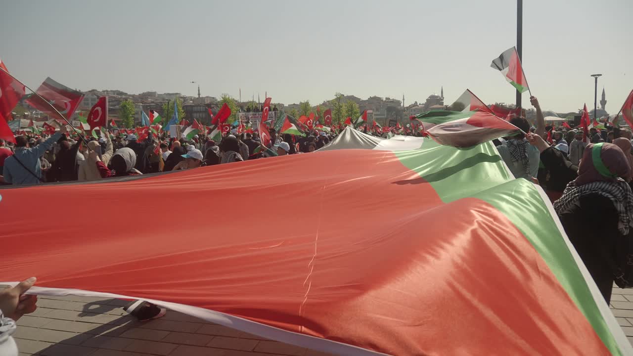 Protest with flags