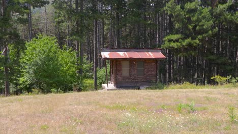 Cabin-in-the-woods-with-tall-trees-above