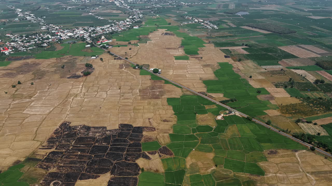 Aerial view of agricultural land with rice paddies and burnt fields