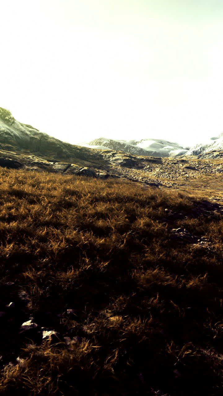 Majestic mountain landscape at golden hour with lush grass and rocky terrain