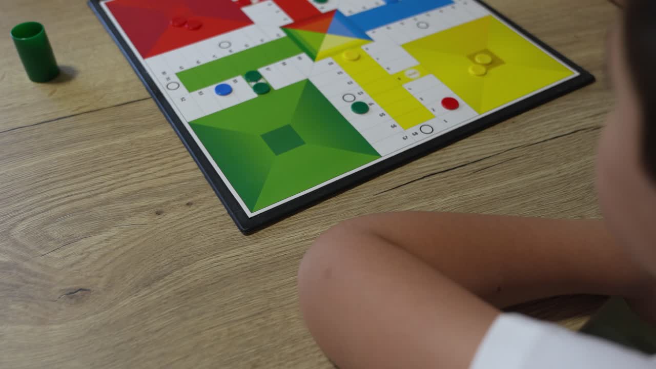 Gioco da tavolo Ludo