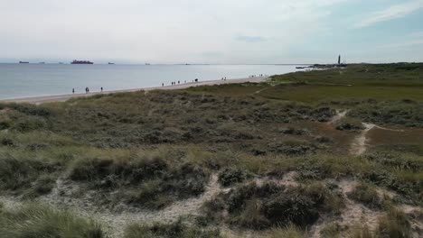 Aerial-Orbit-of-Sand-Dunes-and-Grass-with-Tourists-on-Beach-and-Ships-on-horizon,-Skagen,-Denmark