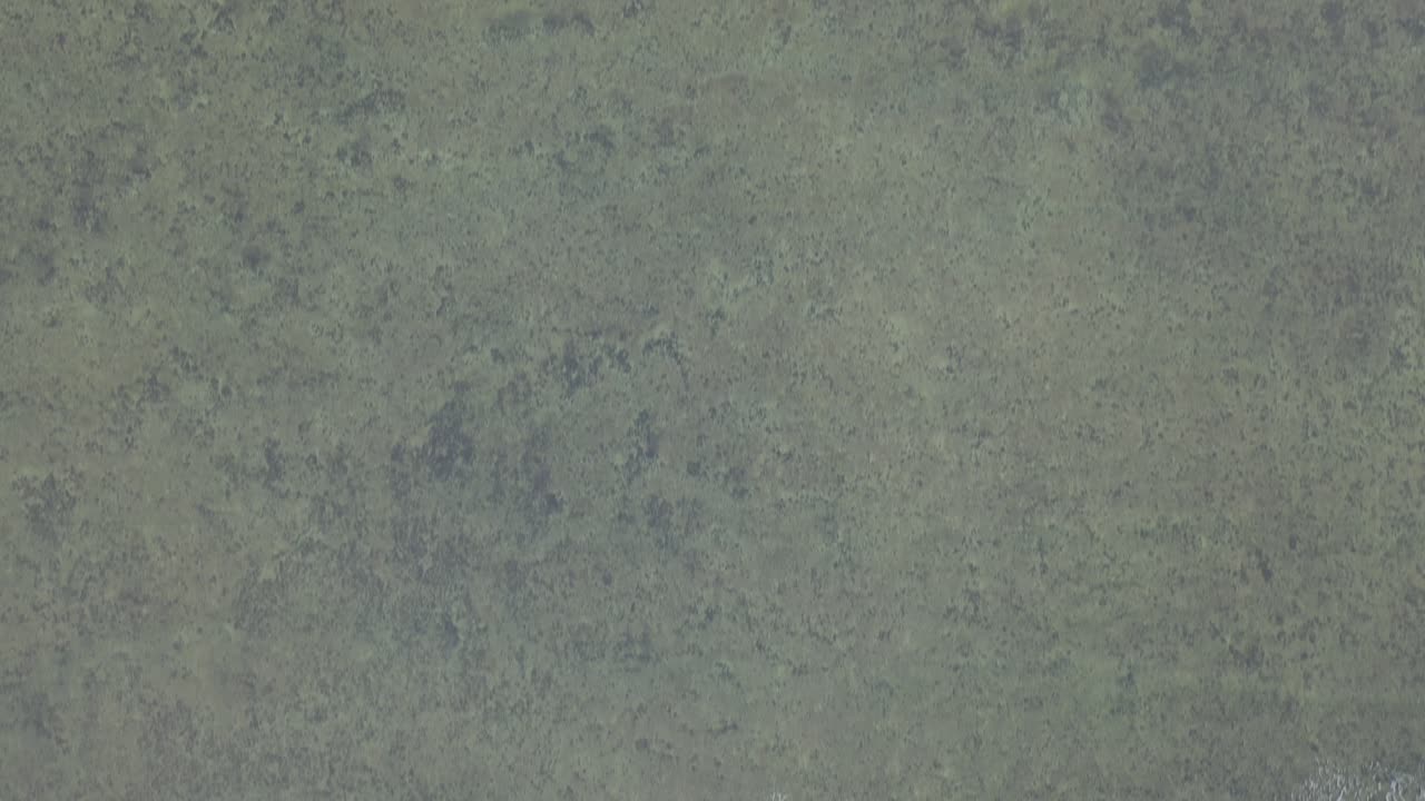 vista aérea de drones de las olas del mar báltico y aves voladoras, vista de arriba hacia abajo