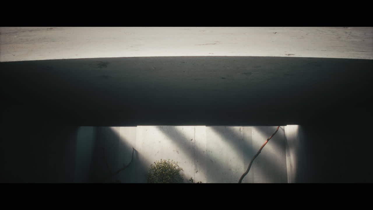 Empty Concrete Tunnel with Sunlight and Plants