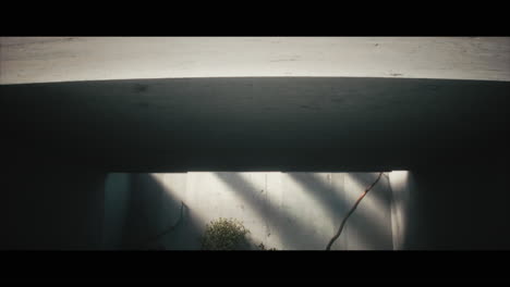 empty concrete tunnel with sunlight and plants