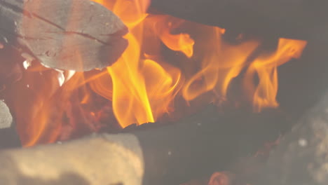 burning wood in a campfire