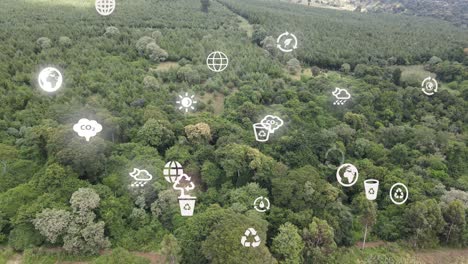 Drone-view--Africa-Forest--Kenya-and-Tanzania-Bush-fire-on-slopes-of-mount-Kilimanjaro-Loitokitok-Kenya