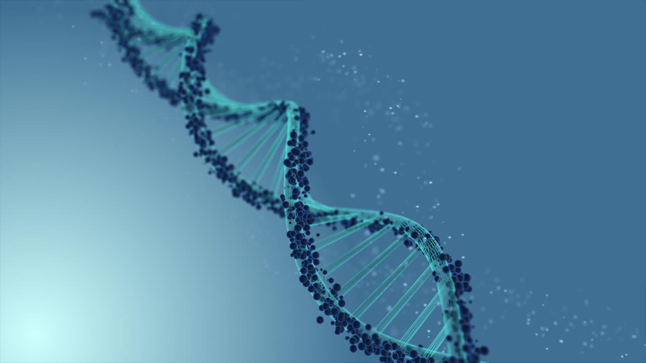 adn del marco de alambre