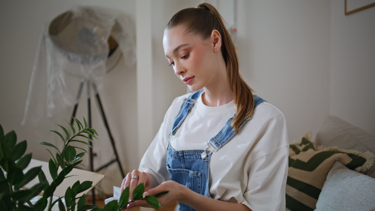 Woman cleaning home plants in living room closeup. Relaxed girl dusting leaves